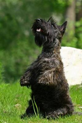 Book cover for The Scottish Terrier Dog Journal