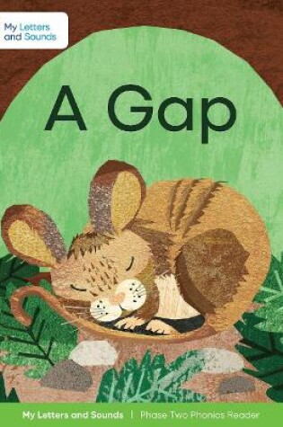 Cover of A Gap