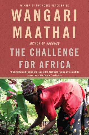 Cover of The Challenge for Africa