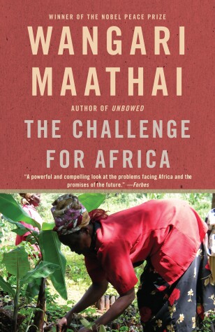 Book cover for The Challenge for Africa