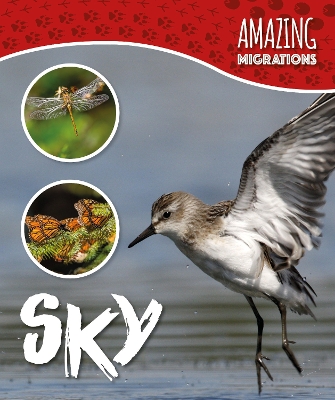 Book cover for Sky