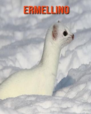Book cover for Ermellino