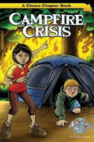 Cover of Campfire Crisis