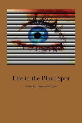 Book cover for Life in the Blind Spot