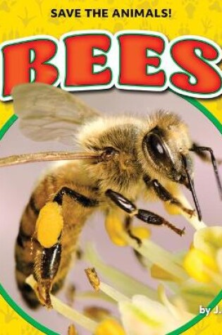 Cover of Bees