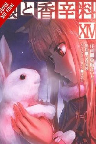 Cover of Spice and Wolf, Vol. 14 (manga)