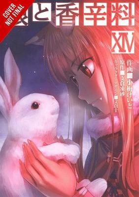 Book cover for Spice and Wolf, Vol. 14 (manga)