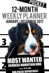 Book cover for 2017 Pocket Weekly Planner - Most Wanted Bernese Mountain Dog