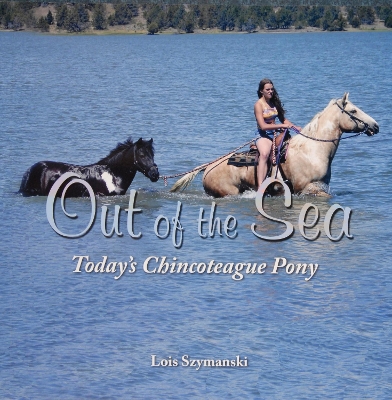 Book cover for Out of the Sea, Today’s Chincoteague Pony