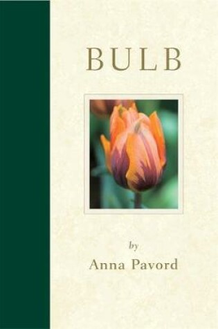 Cover of Bulb