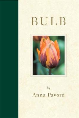 Book cover for Bulb