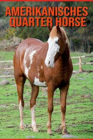 Cover of Amerikanisches Quarter Horse