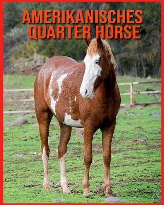 Book cover for Amerikanisches Quarter Horse