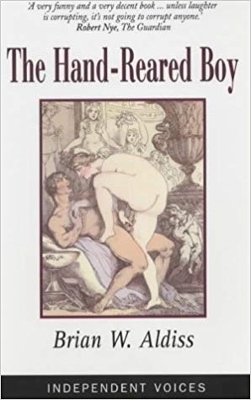 Book cover for The Hand-Reared Boy