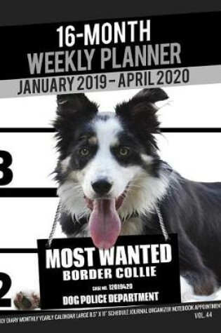 Cover of 16-Month January 2019- April 2020 Weekly Planner - Most Wanted Border Collie