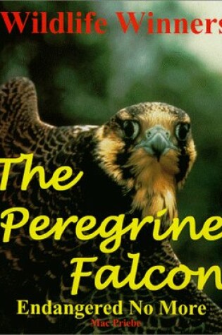 Cover of The Peregrine Falcon