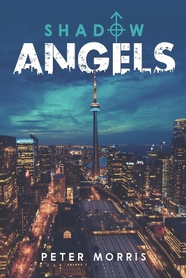 Book cover for Shadow Angels