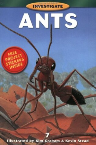 Cover of Bcp Investigate Series: Ants