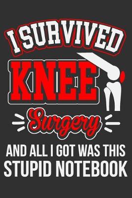 Book cover for I Survived Knee Surgery And All I Got Was This Stupid Notebook