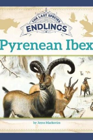 Cover of Pyrenean Ibex