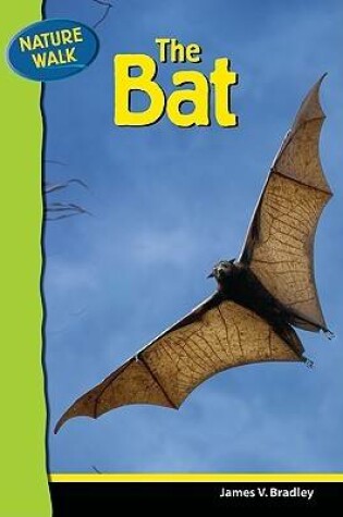 Cover of The Bat