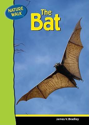 Book cover for The Bat