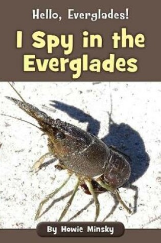 Cover of I Spy in the Everglades