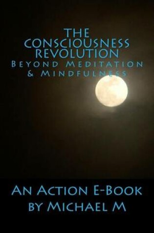 Cover of The Consciousness Revolution