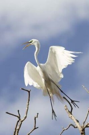 Cover of Great Egret Taking Off Journal