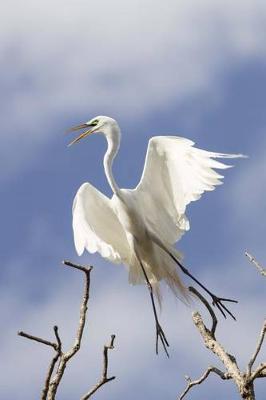 Book cover for Great Egret Taking Off Journal