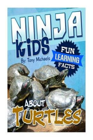 Cover of Fun Learning Facts about Turtles