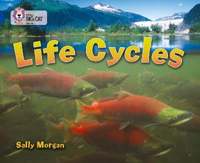 Book cover for Life Cycles