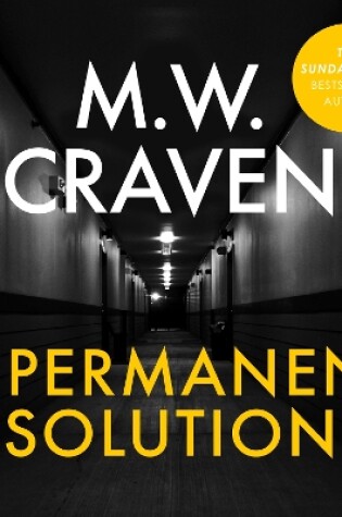 Cover of A Permanent Solution
