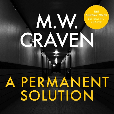 Book cover for A Permanent Solution