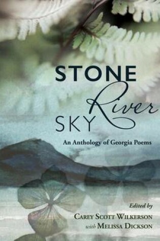Cover of Stone, River, Sky