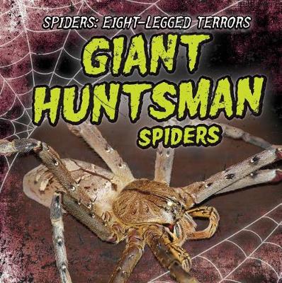 Cover of Giant Huntsman Spiders