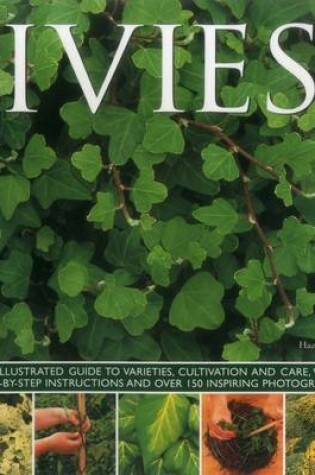 Cover of Ivies