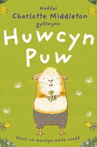 Cover of Huwcyn Puw
