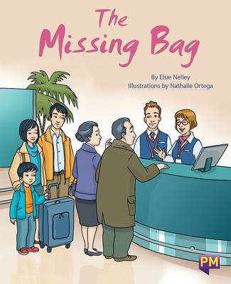 Book cover for The Missing Bag