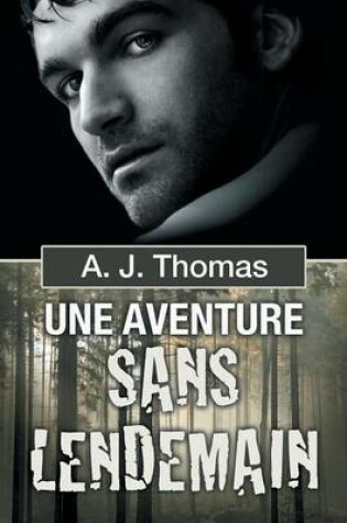 Cover of Une Aventure Sans Lendemain
