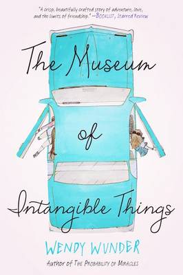 Book cover for The Museum of Intangible Things