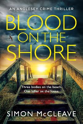 Book cover for Blood on the Shore