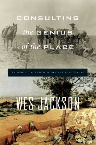 Cover of Consulting The Genius Of The Place