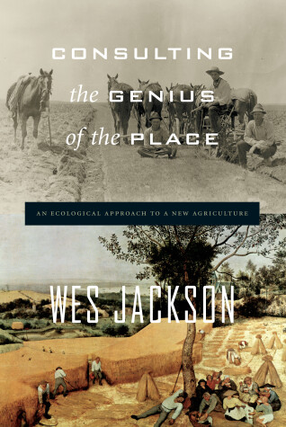 Book cover for Consulting The Genius Of The Place
