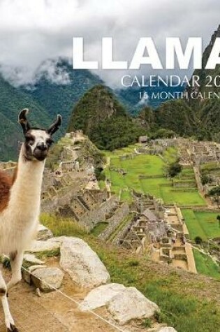 Cover of llama Calendar 2020