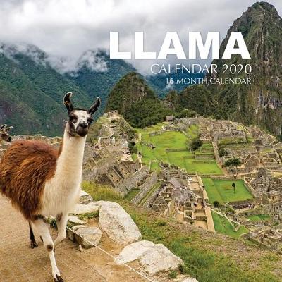 Book cover for llama Calendar 2020