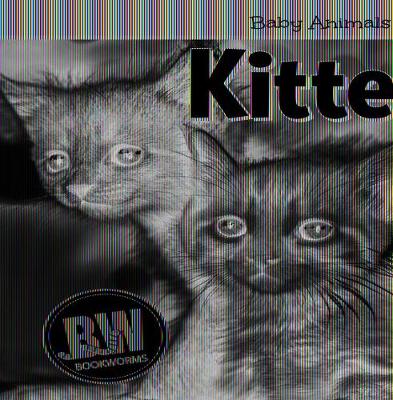 Book cover for Kittens