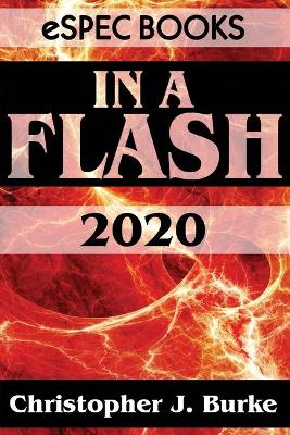 Book cover for In a Flash 2020