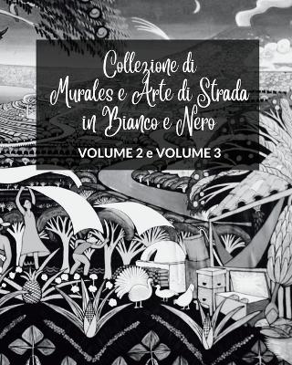 Book cover for Collezione di Murales e Arte di Strada in Bianco e Nero - Volumi 2 e 3