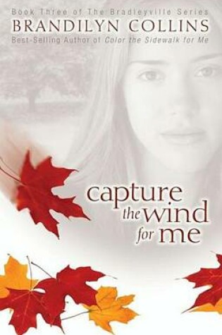 Cover of Capture the Wind for Me